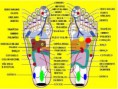 /album/galeria-de-fotos/mapareflexologia-jpg/